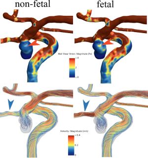 INR_Fig_1_ CFD